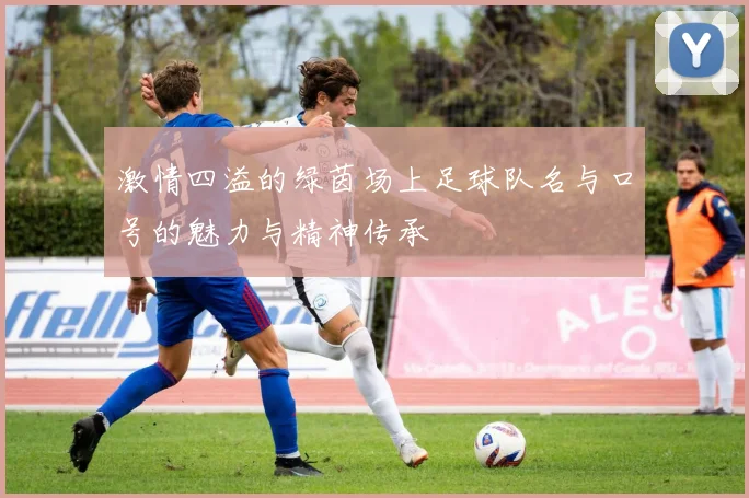 激情四溢的绿茵场上足球队名与口号的魅力与精神传承