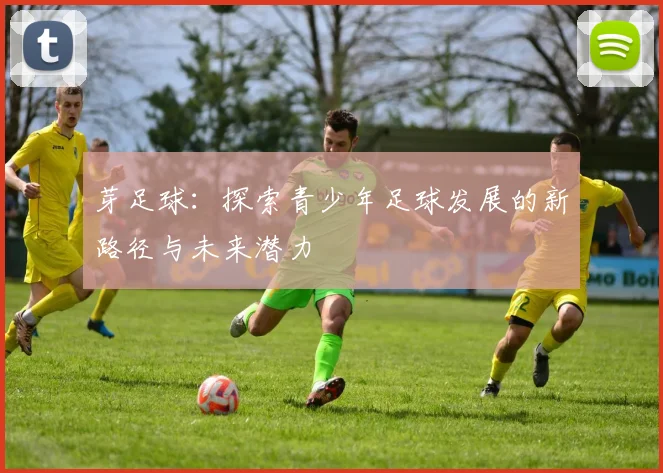 芽足球：探索青少年足球发展的新路径与未来潜力