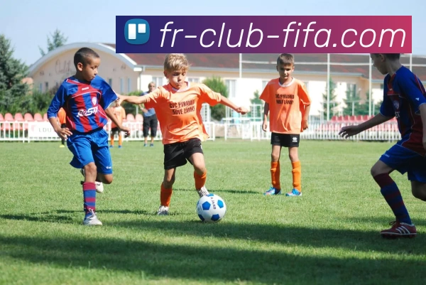 线上买球APP 高清赛事图